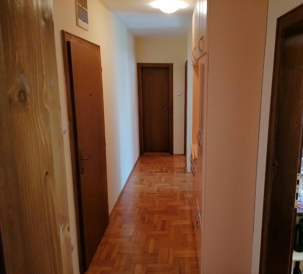 Apartman Djina Vrnjačka Banja Eksteriør billede